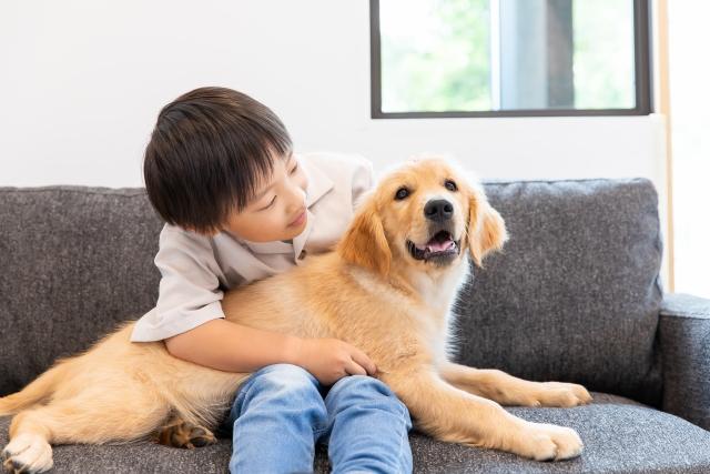 おすすめの間取り